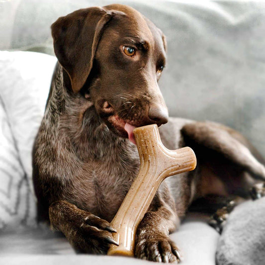 Aggressive Chewers Real Maplewood Made