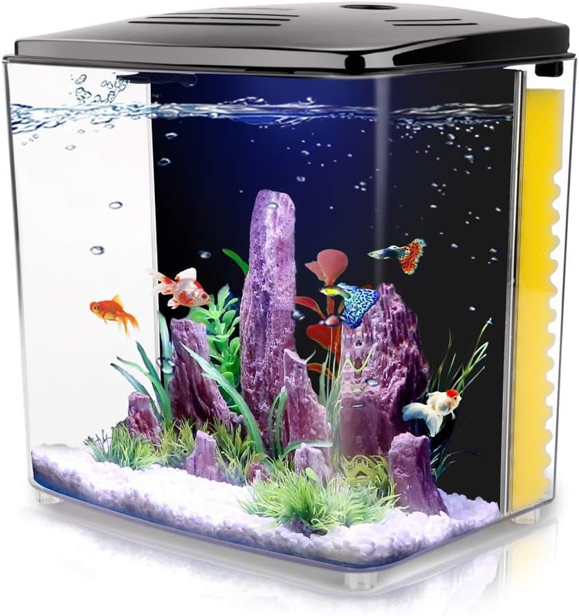 betta fish accessories 1.2 Gallon Betta Aquarium with LED Light and Filter Pump – MJ's Pet Closet