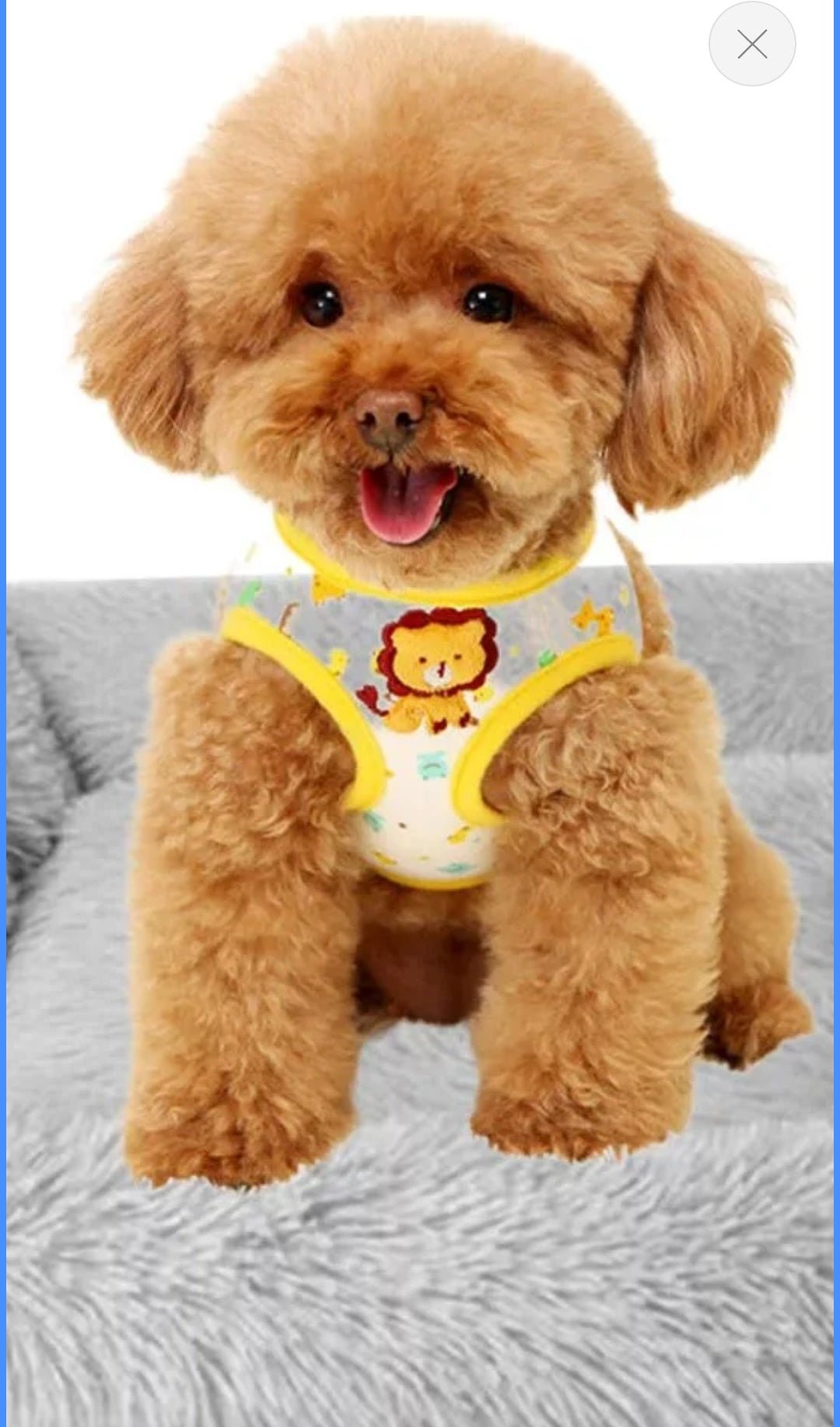 Best Washable Dog Beds