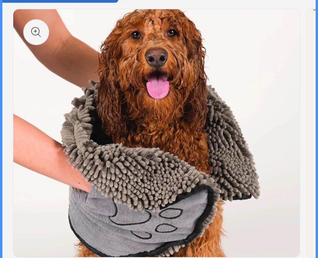 Dog supplies collection