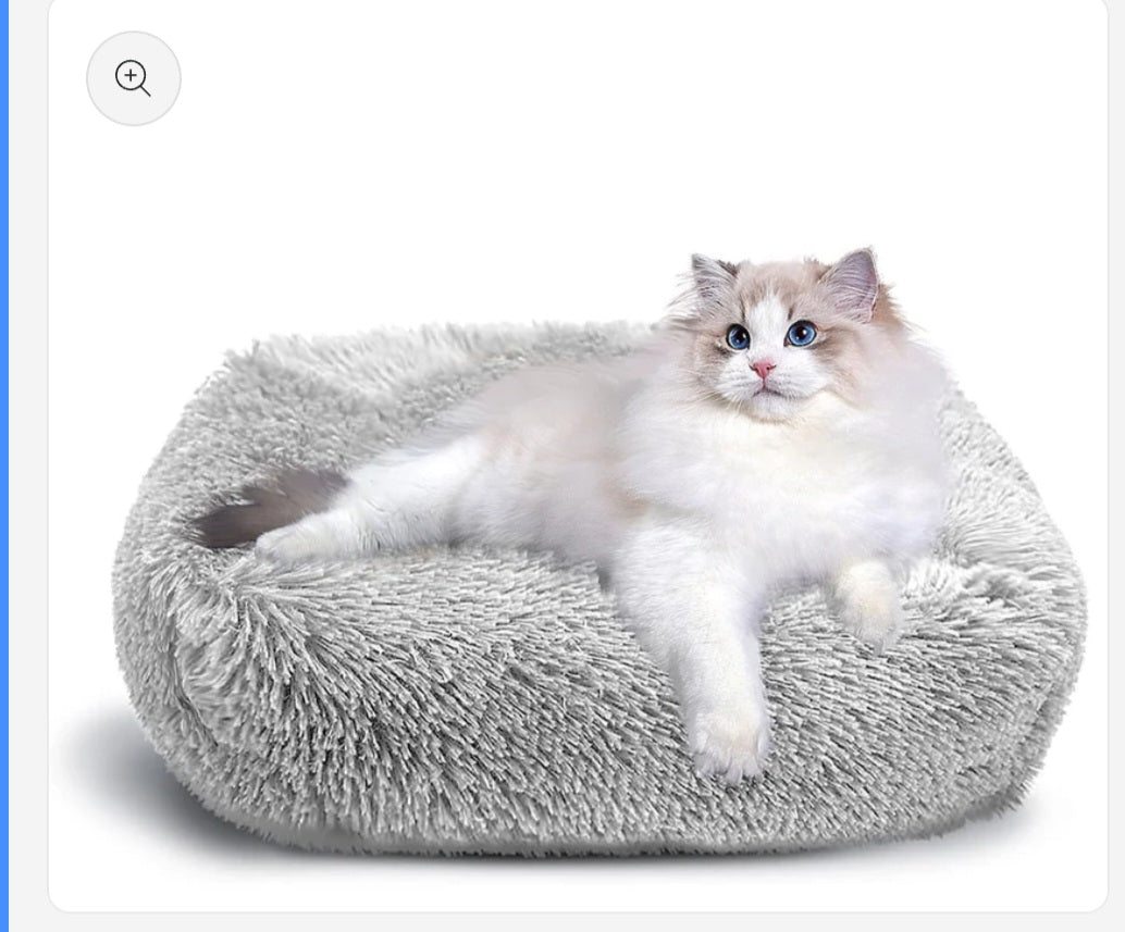 Top quality cat products