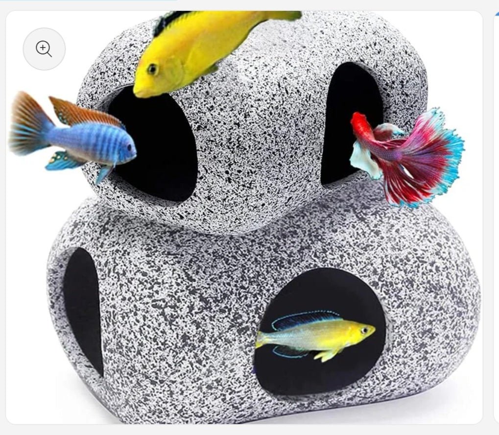 Top quality fish supplies