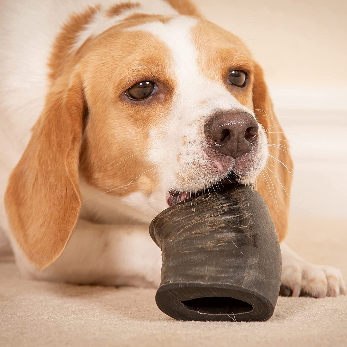 Deliciously Healthy Dog Chews - Water Buffalo Prime Select 7 Pack for Happy, Healthy Puppies