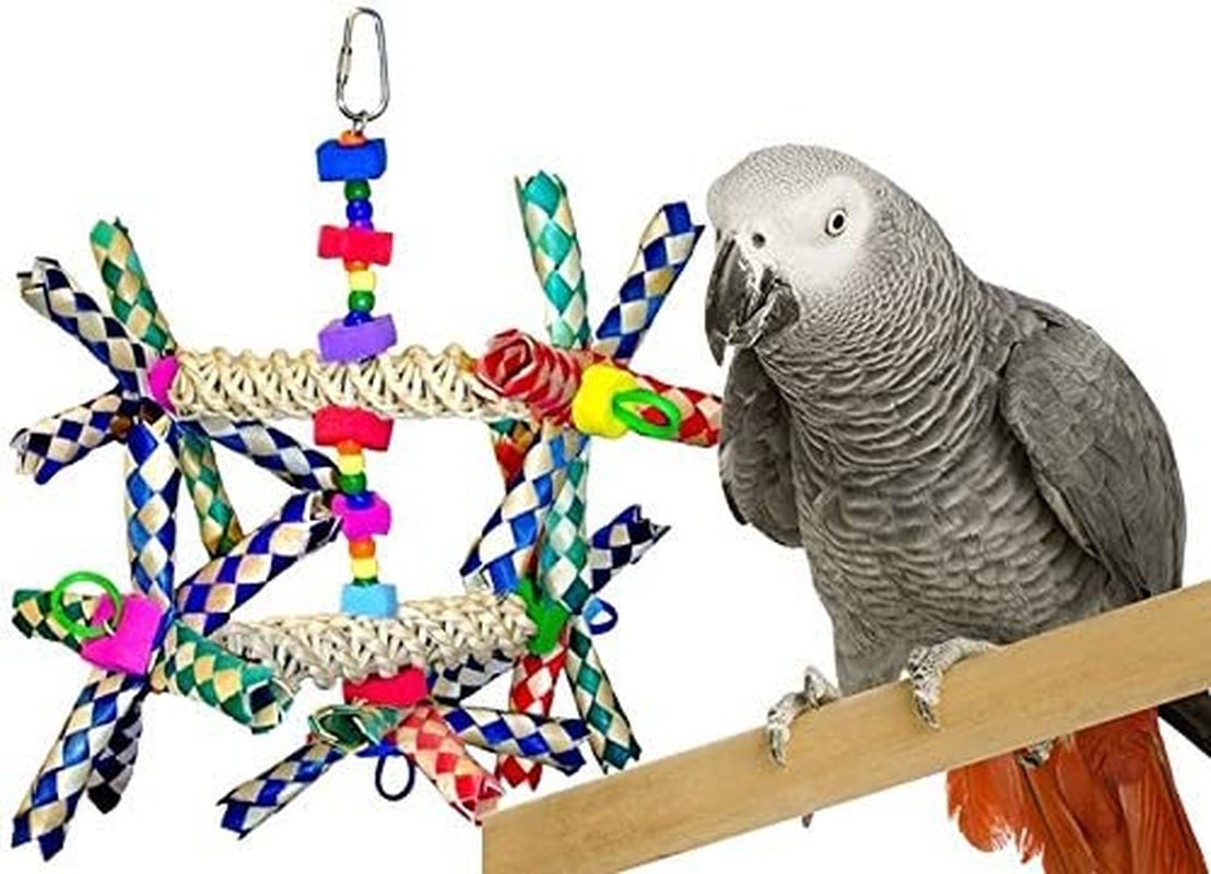 Pet supplies - mj's closet dogs supplies cat's supplies, fish aquarium, fish accessories, birds cage, birds supplies, small animal supplies