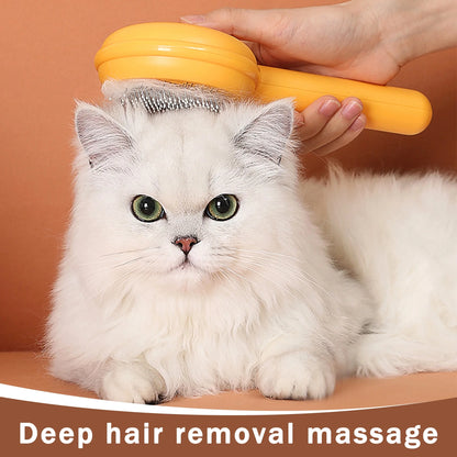 Cat Brushes for Indoor Cats 