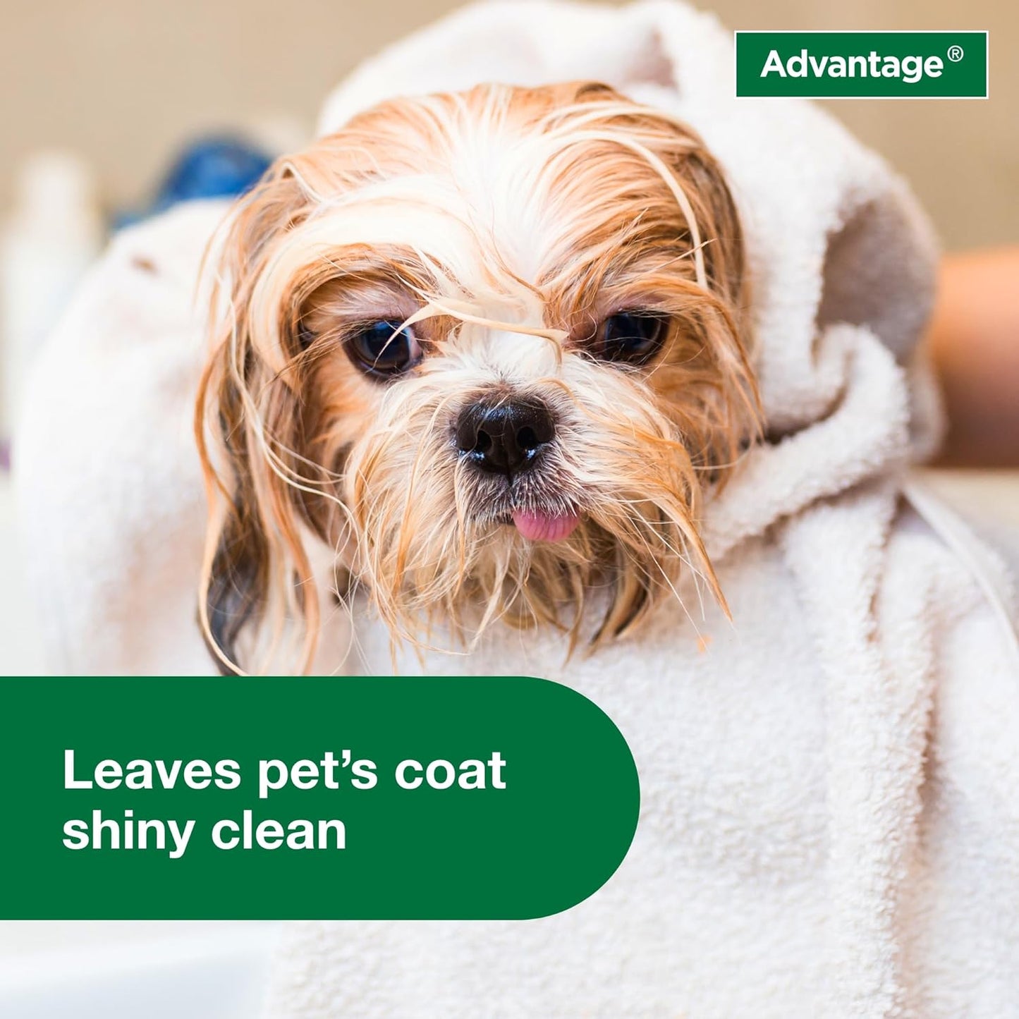 Dog Flea & Tick Shampoo for Puppies & Adult Dogs | Kills Fleas & Ticks | 12 Oz.