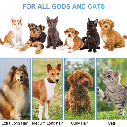 Pet supplies - mj's closet dogs supplies cat's supplies, fish aquarium, fish accessories, birds cage, birds supplies, small animal supplies