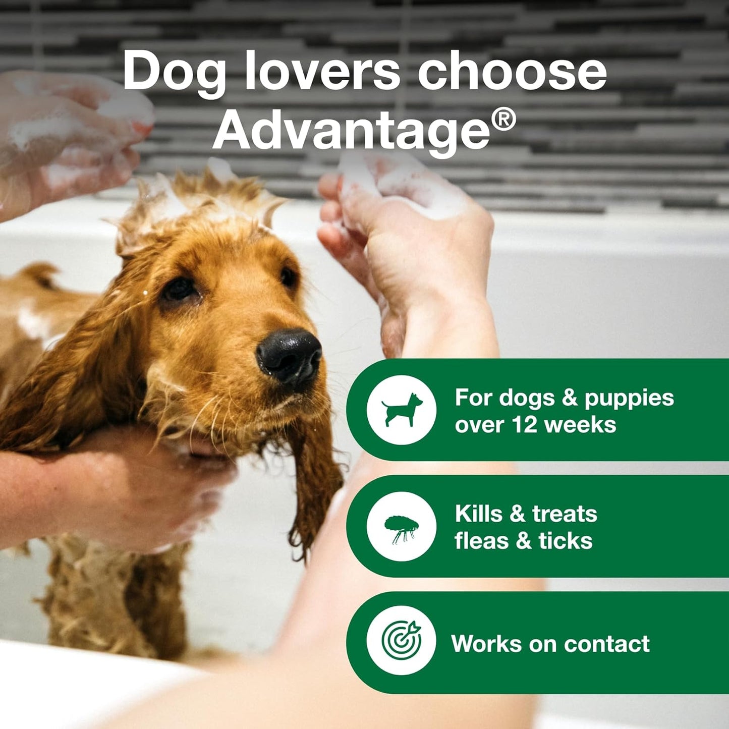 Dog Flea & Tick Shampoo for Puppies & Adult Dogs | Kills Fleas & Ticks | 12 Oz.