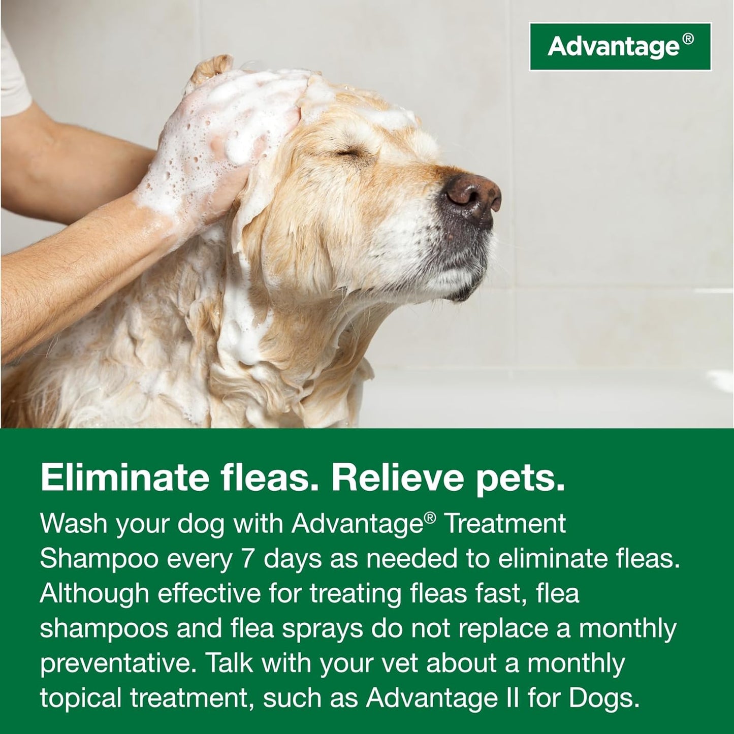 Dog Flea & Tick Shampoo for Puppies & Adult Dogs | Kills Fleas & Ticks | 12 Oz.