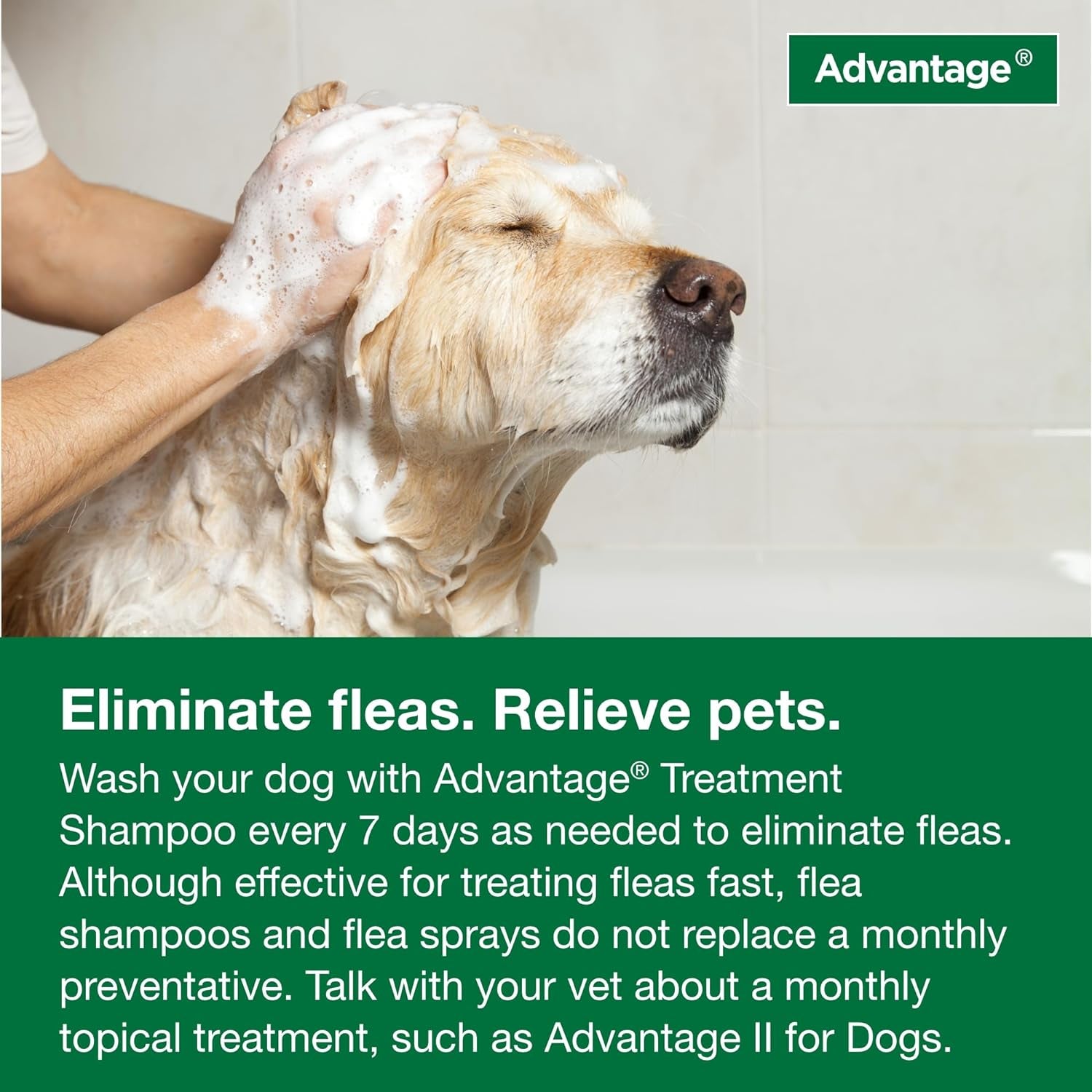 Dog Flea & Tick Shampoo for Puppies & Adult Dogs | Kills Fleas & Ticks | 12 Oz.