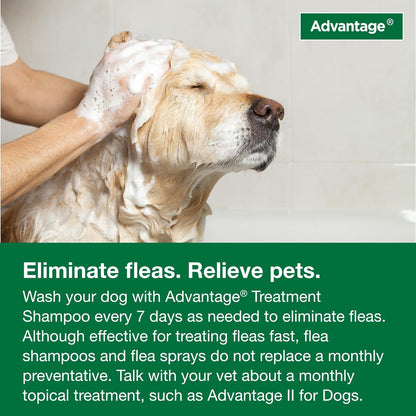 Dog Flea & Tick Shampoo for Puppies & Adult Dogs | Kills Fleas & Ticks | 12 Oz.