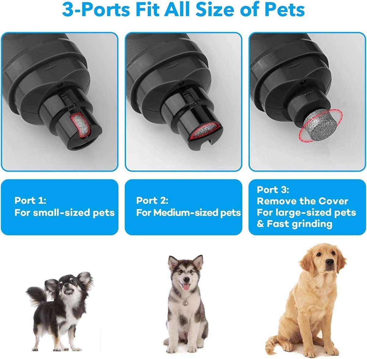 Pet supplies - mj's closet dogs supplies cat's supplies, fish aquarium, fish accessories, birds cage, birds supplies, small animal supplies