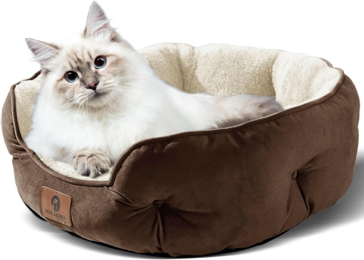 Pet supplies - mj's closet dogs supplies cat's supplies, fish aquarium, fish accessories, birds cage, birds supplies, small animal supplies