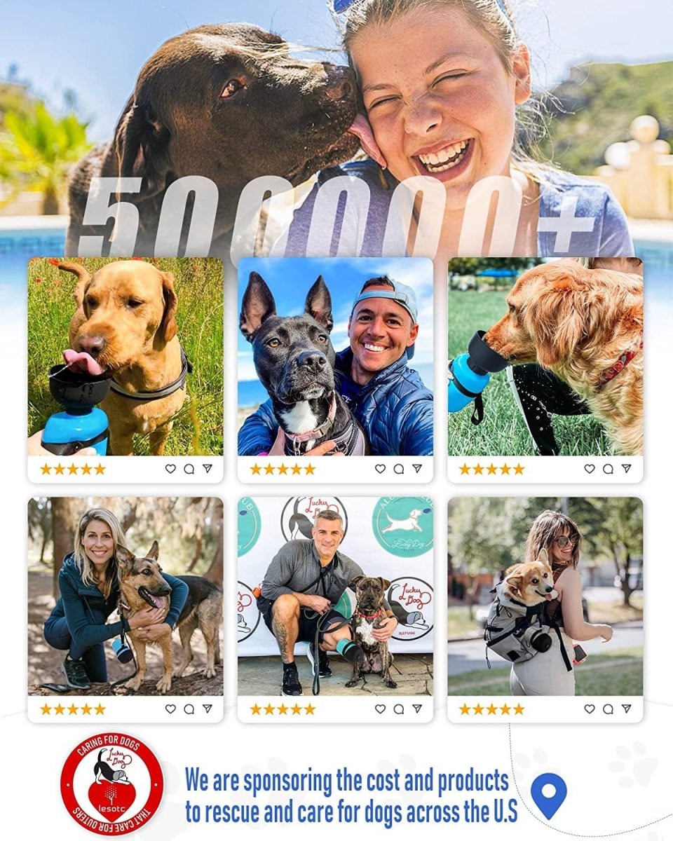 Pet supplies - mj's closet dogs supplies cat's supplies, fish aquarium, fish accessories, birds cage, birds supplies, small animal supplies