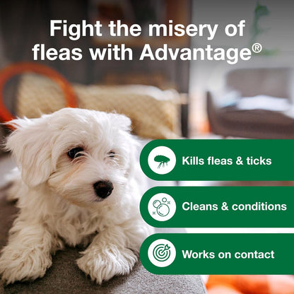 Dog Flea & Tick Shampoo for Puppies & Adult Dogs | Kills Fleas & Ticks | 12 Oz.
