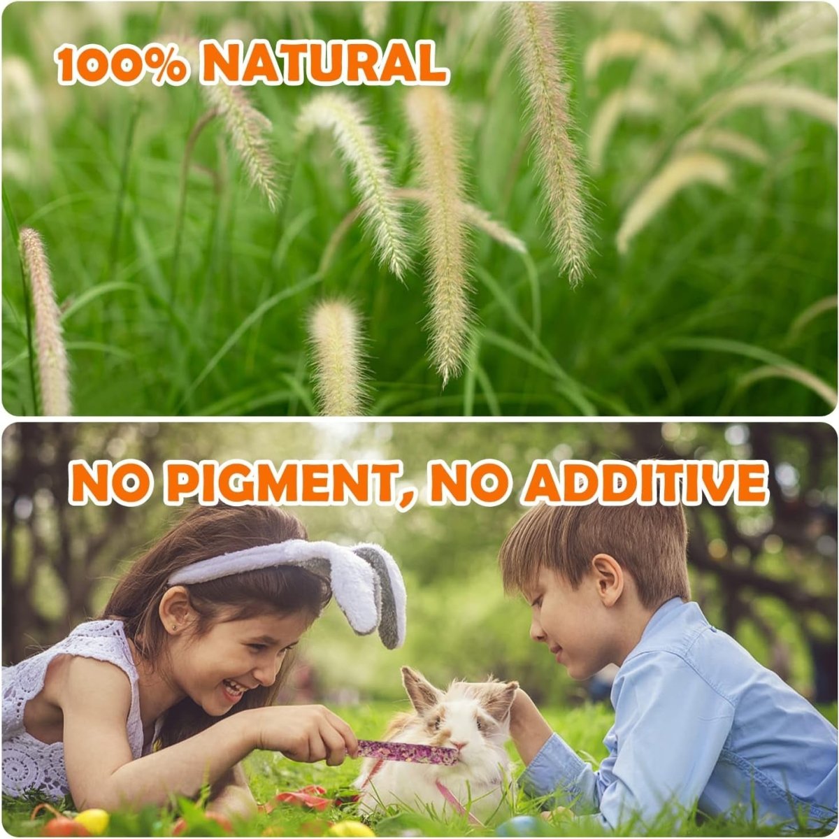 Pet supplies - mj's closet dogs supplies cat's supplies, fish aquarium, fish accessories, birds cage, birds supplies, small animal supplies