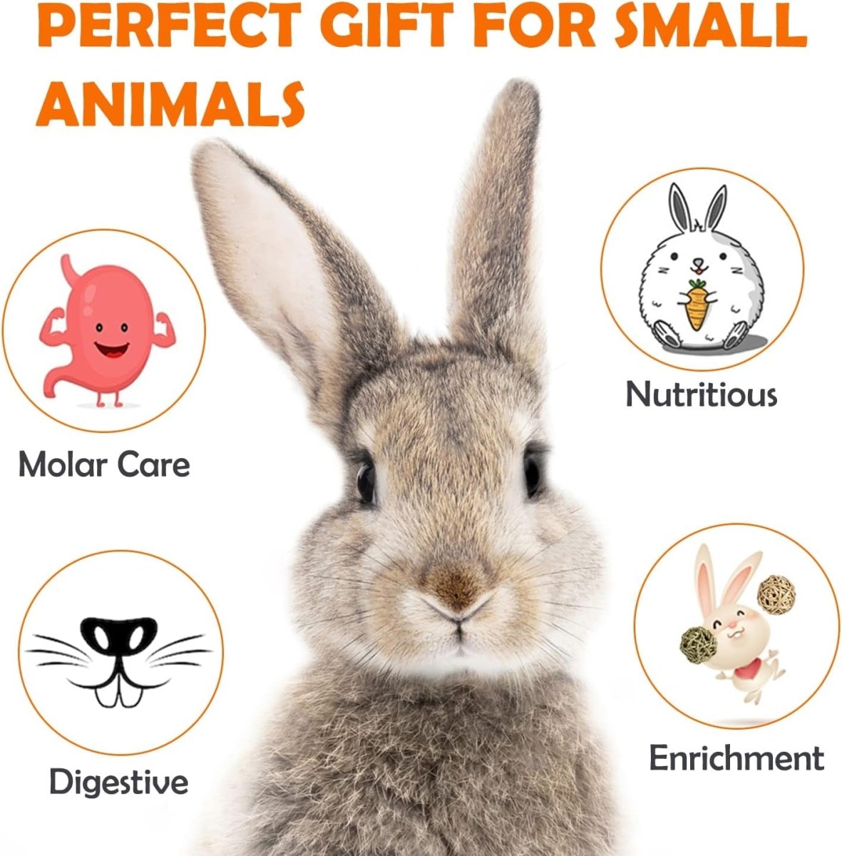 Pet supplies - mj's closet dogs supplies cat's supplies, fish aquarium, fish accessories, birds cage, birds supplies, small animal supplies