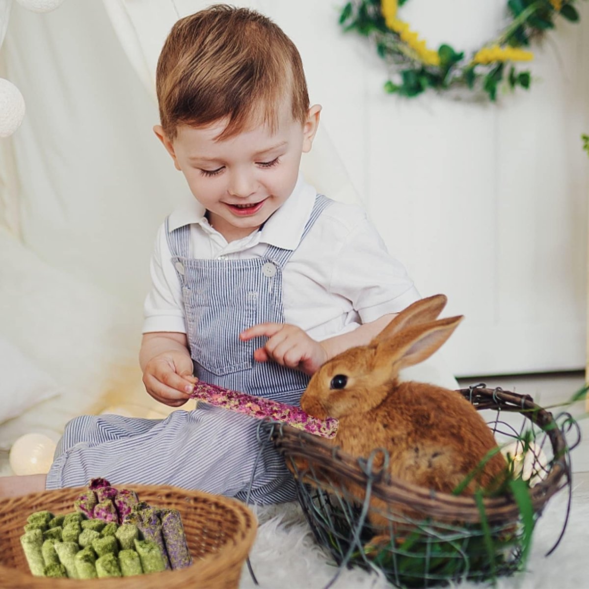 Pet supplies - mj's closet dogs supplies cat's supplies, fish aquarium, fish accessories, birds cage, birds supplies, small animal supplies