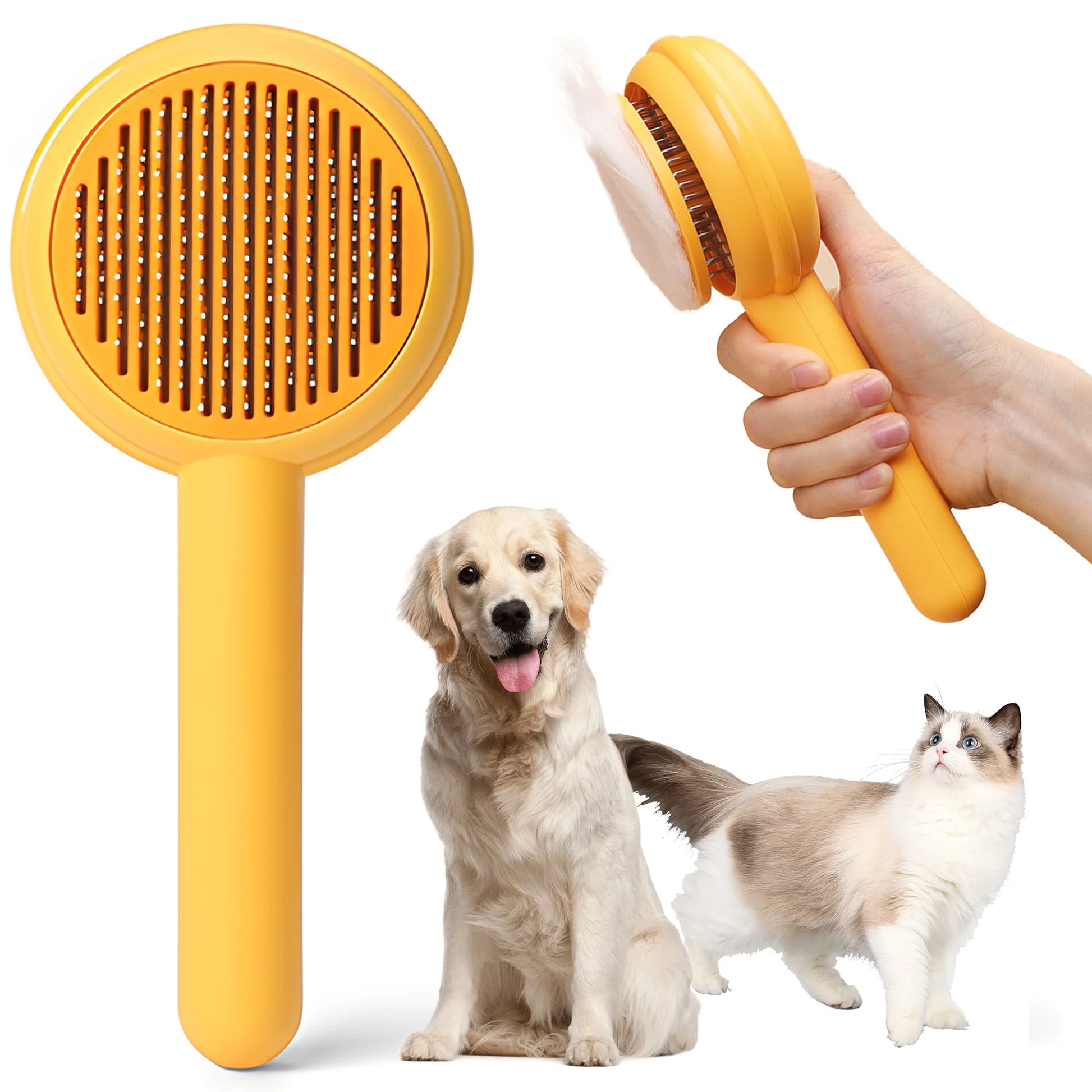 Cat Brushes for Indoor Cats 