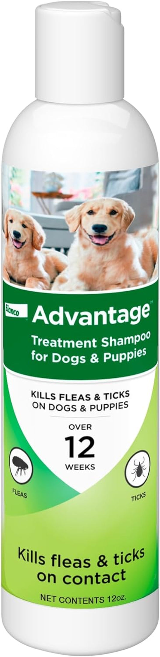 Dog Flea & Tick Shampoo for Puppies & Adult Dogs | Kills Fleas & Ticks | 12 Oz.