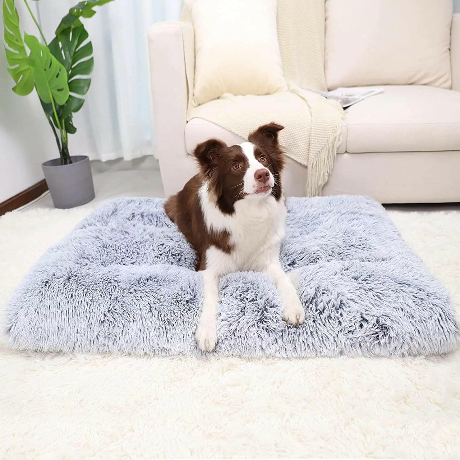 Large Dog Bed Anxiety Washable Cat Dog Mats Anti-Slip Bottom Large 41''X27'' Pet Beds