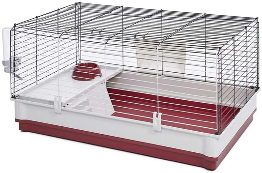 Pet supplies - mj's closet dogs supplies cat's supplies, fish aquarium, fish accessories, birds cage, birds supplies, small animal supplies