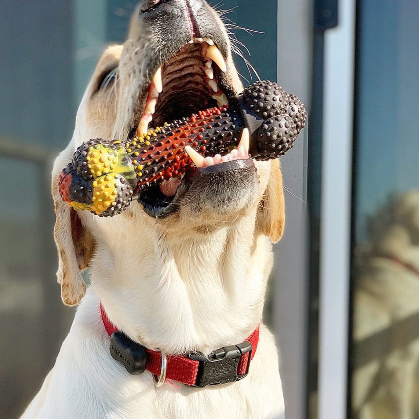 Flavor Frenzy Strong Chew Dog Toy Bacon Cheeseburger 