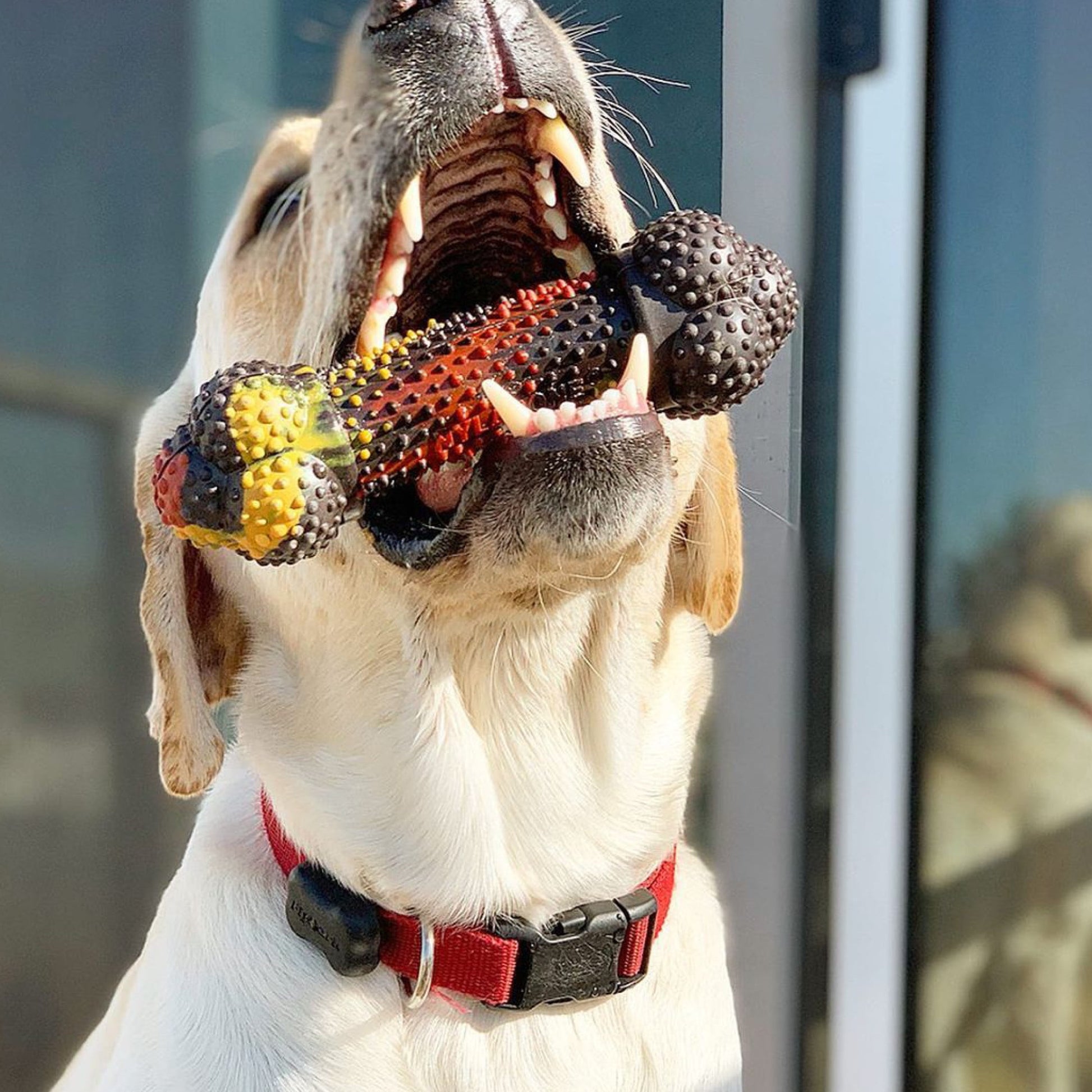 Flavor Frenzy Strong Chew Dog Toy Bacon Cheeseburger 