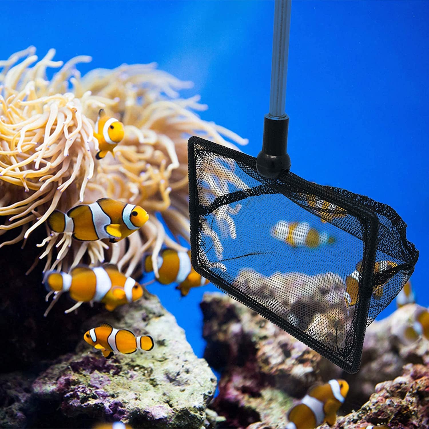 Fish Net for Fish Tank, 2.5 Inch Deep Mesh Scooper with Extendable Handle up to 24 Inches Long Large Scoop, Telescopic Pond Skimmer Nets for Cleaning Tanks as Aquarium Accessories