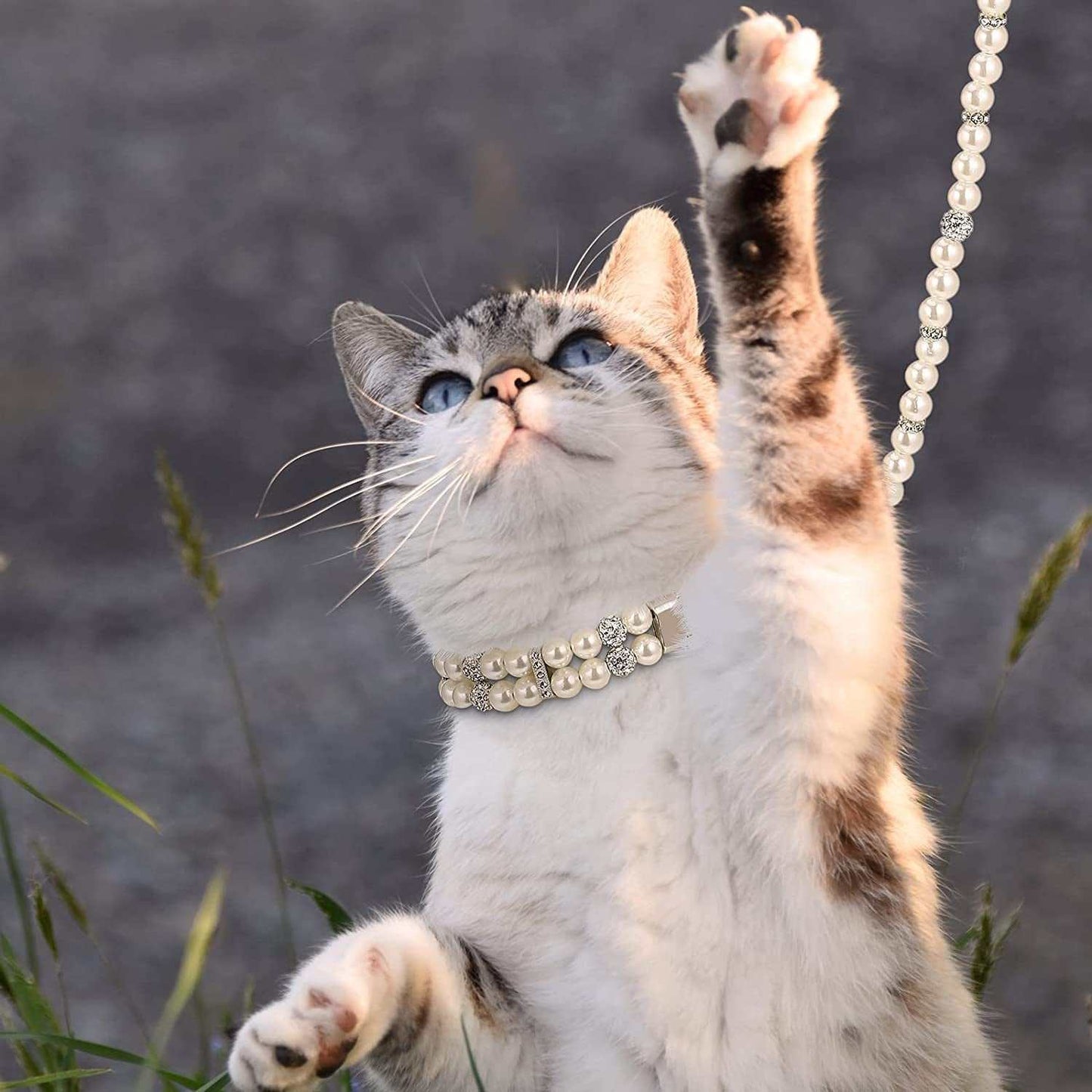2 Pcs Pearl Collar and Leash for Dogs Set Including Dog Pearl Leash 2 Rows Pearls Pet Necklace PU Leather Pearl Leash with Crystal Rhinestone Imitated Pearl Neck Strap(0.8 X 47.28 Inch)