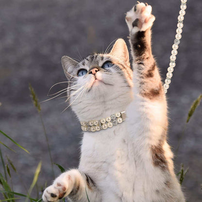 2 Pcs Pearl Collar and Leash for Dogs Set Including Dog Pearl Leash 2 Rows Pearls Pet Necklace PU Leather Pearl Leash with Crystal Rhinestone Imitated Pearl Neck Strap(0.8 X 47.28 Inch)