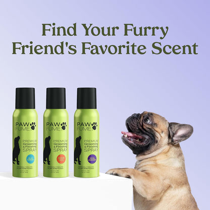 Revitalize Your Pup with PAWFUME Royal Lavender Dog Grooming Spray – Hypoallergenic, Alcohol-Free, and Long-Lasting Freshness for a Luxurious Coat