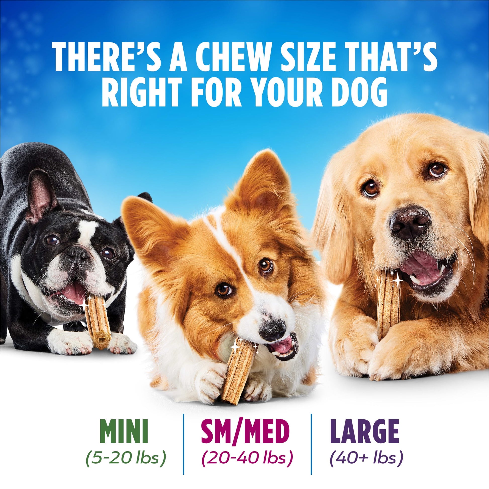 Purina  Daily Oral Care Large Dog Treats Dental Chews with Chicken, 20.7 Oz 