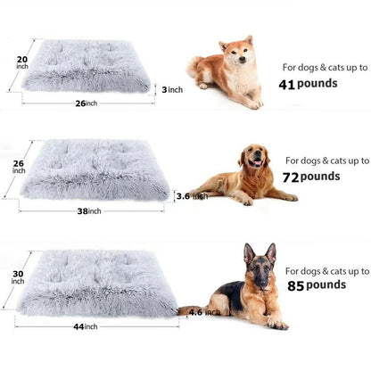 Large Dog Bed Anxiety Washable Cat Dog Mats Anti-Slip Bottom Large 41''X27'' Pet Beds
