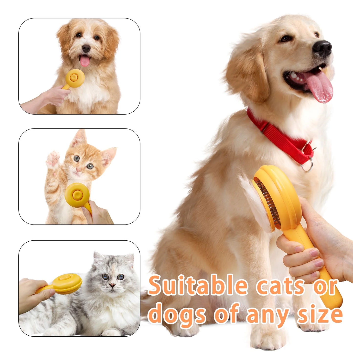 Cat Brushes for Indoor Cats 