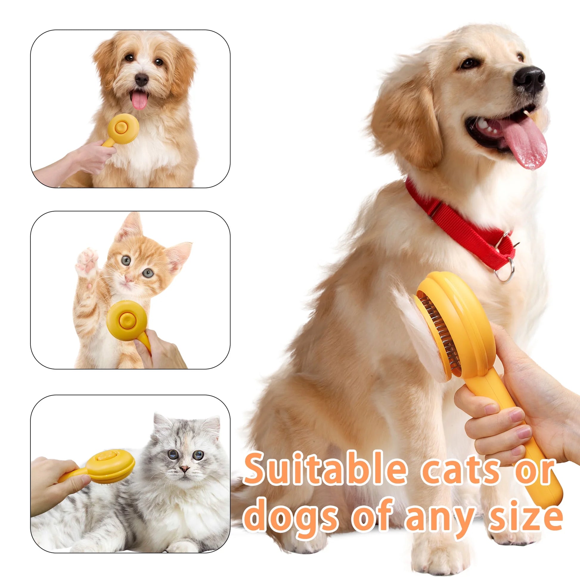Cat Brushes for Indoor Cats 