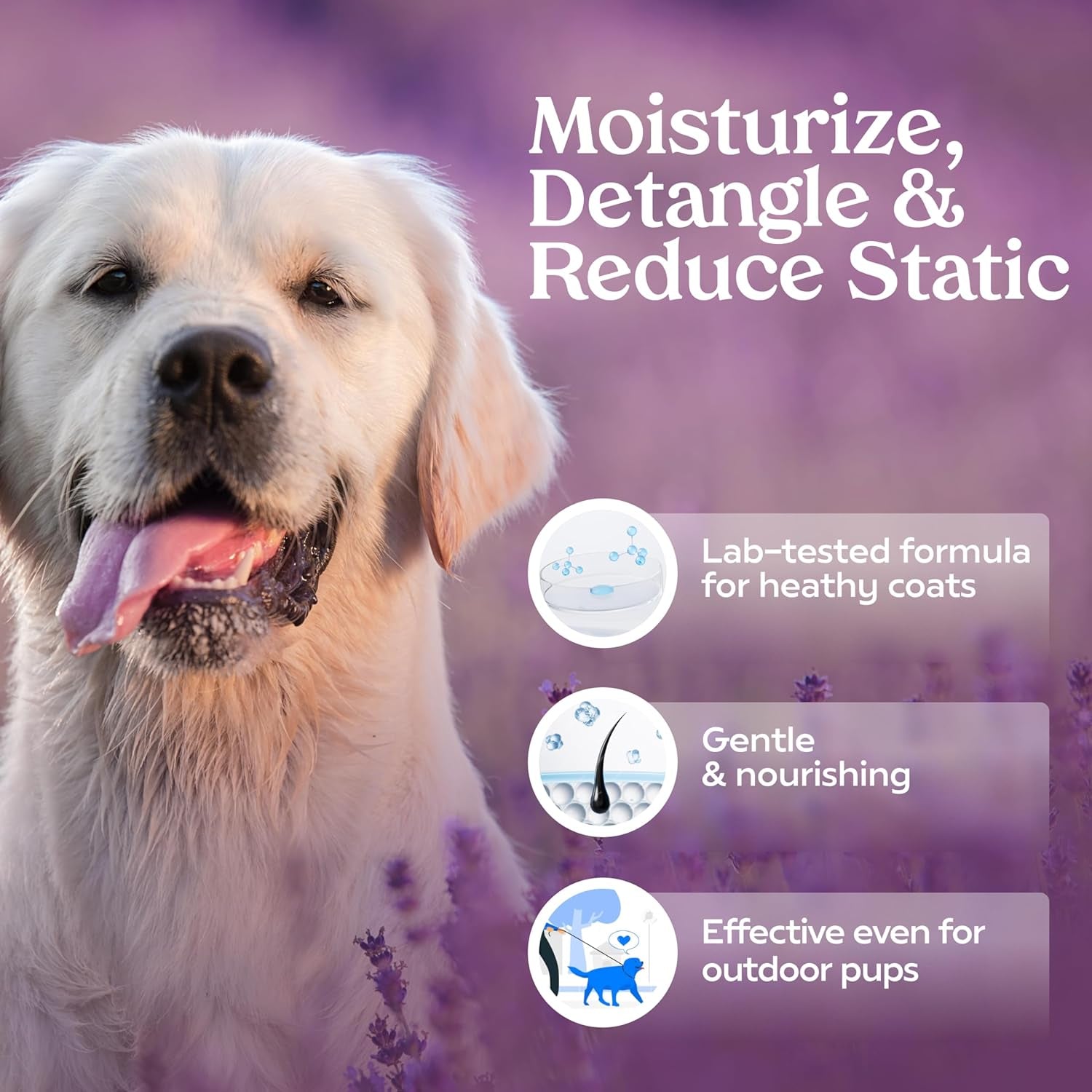 Revitalize Your Pup with PAWFUME Royal Lavender Dog Grooming Spray – Hypoallergenic, Alcohol-Free, and Long-Lasting Freshness for a Luxurious Coat