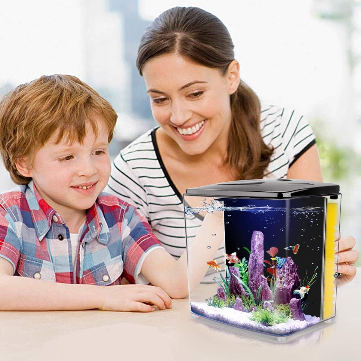 Pet supplies - mj's closet dogs supplies cat's supplies, fish aquarium, fish accessories, birds cage, birds supplies, small animal supplies