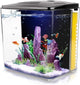 Pet supplies - mj's closet dogs supplies cat's supplies, fish aquarium, fish accessories, birds cage, birds supplies, small animal supplies