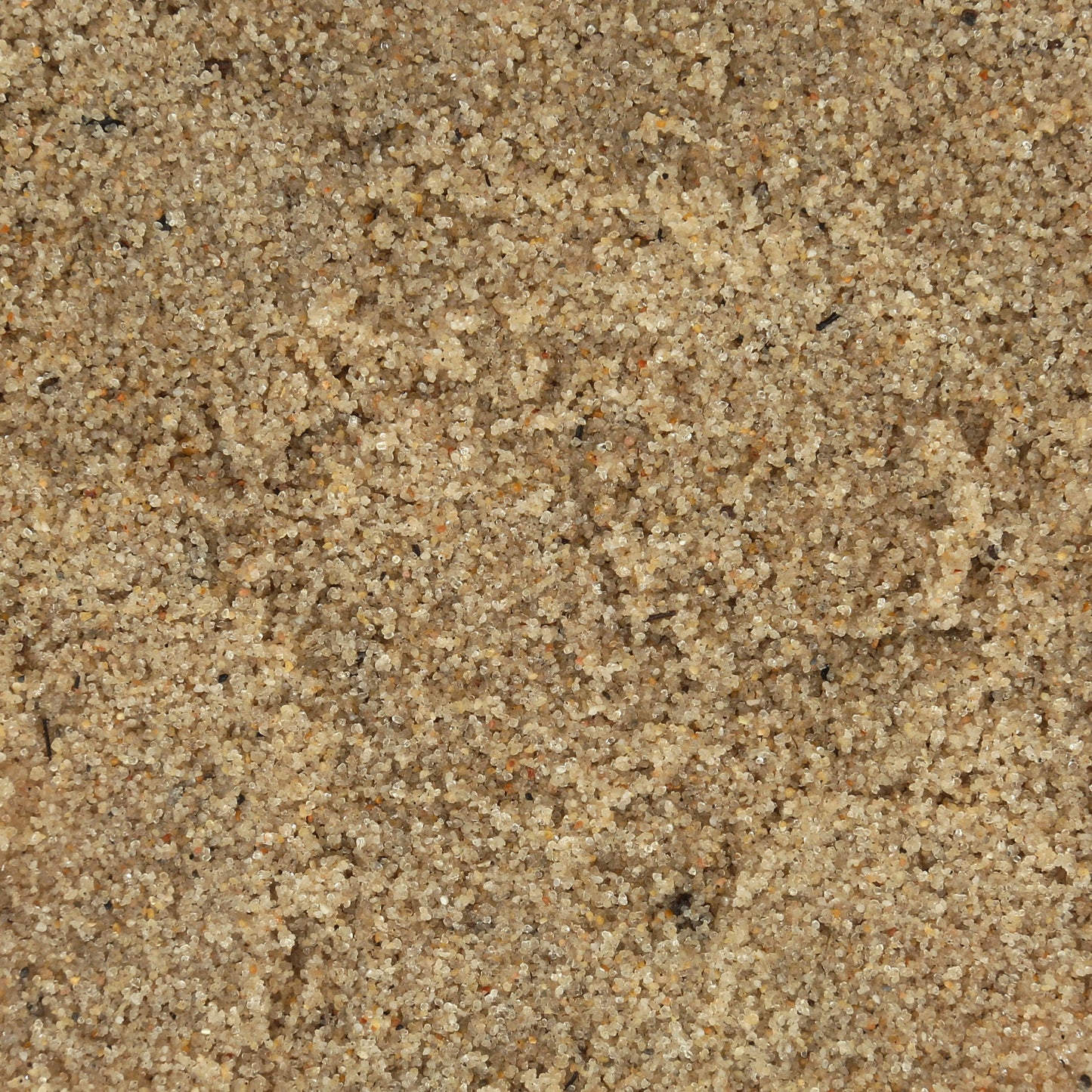 All- Natural Beach Sand Substrate for Hermit Crabs, with Coconut Fibers & Sea Salt, 6 Lbs