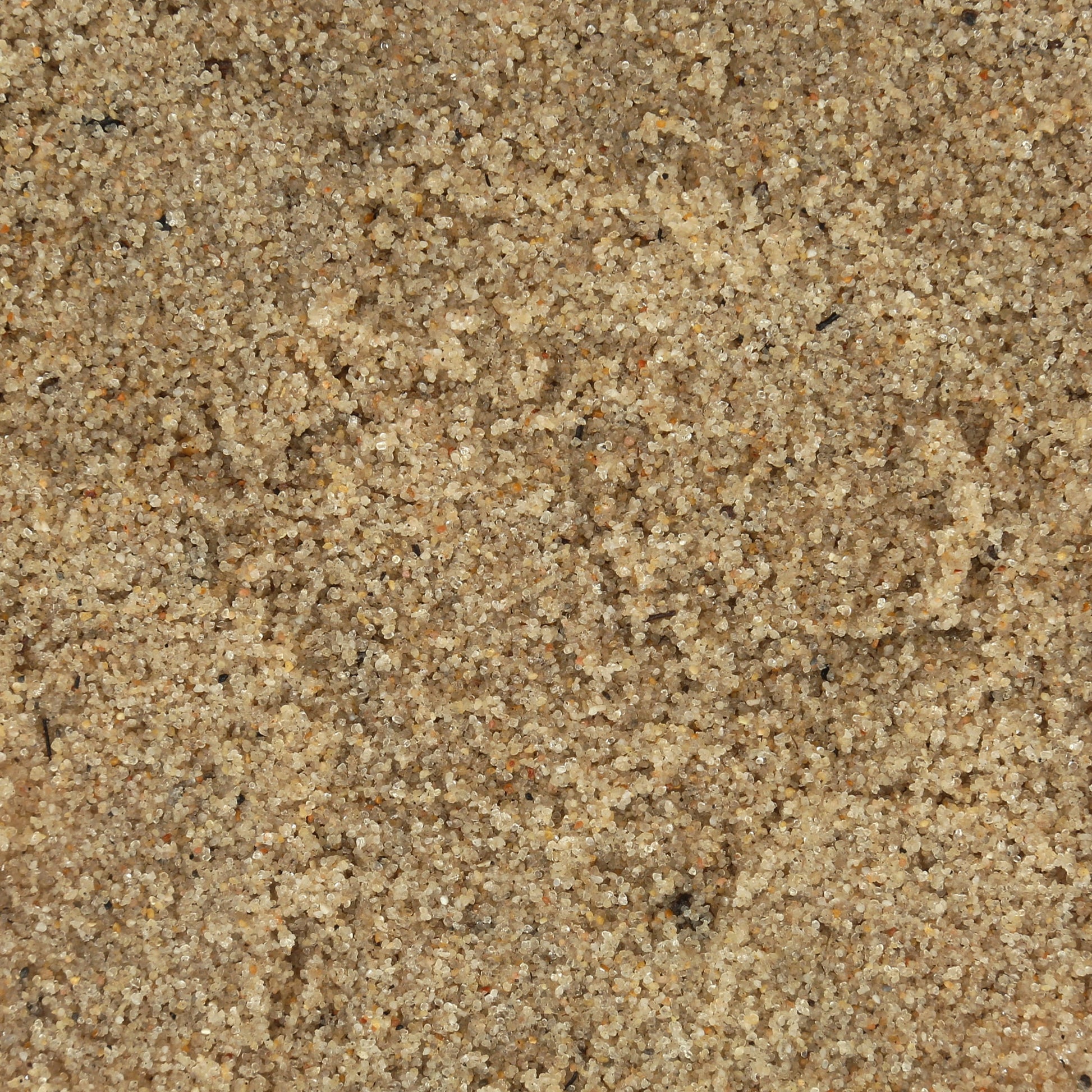 All- Natural Beach Sand Substrate for Hermit Crabs, with Coconut Fibers & Sea Salt, 6 Lbs