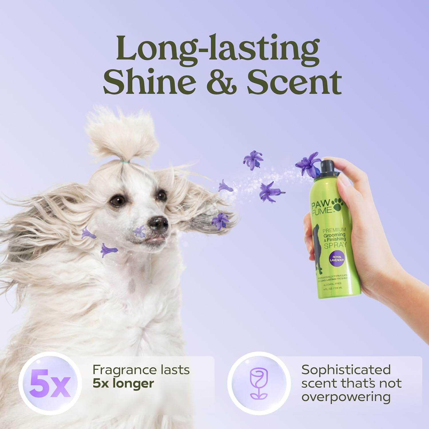Revitalize Your Pup with PAWFUME Royal Lavender Dog Grooming Spray – Hypoallergenic, Alcohol-Free, and Long-Lasting Freshness for a Luxurious Coat