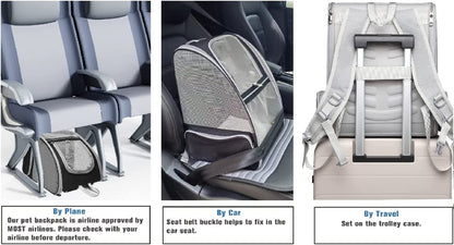  Bubble Backpack Pet Carriers for Cats and Dogs 