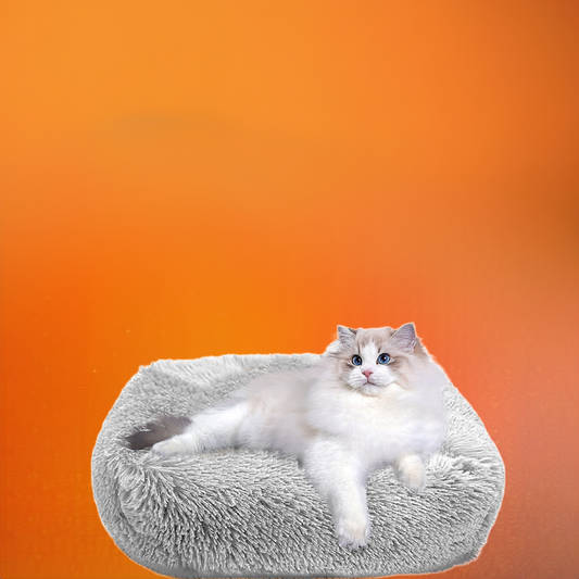 Cat Bed for Indoor Cats, Small Dog Beds for Small Dogs,Soft Long Plush Cushion Washable Puppy Bed,Self-Warming Square Cat Bed Anti-Slip Bottom Cushion (26 X 22 X 8 Inch, Gray)