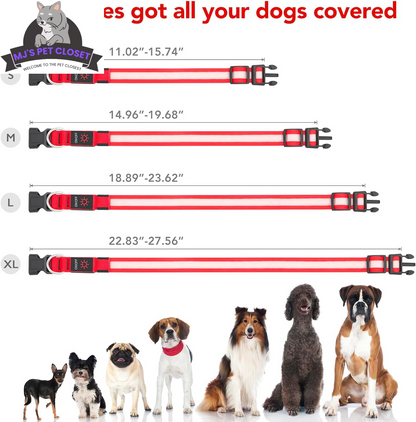 Brighten up your pup's night walks with our adjustable LED Dog Collar! 🌟 USB rechargeable & super safe! 🐾❤️ 