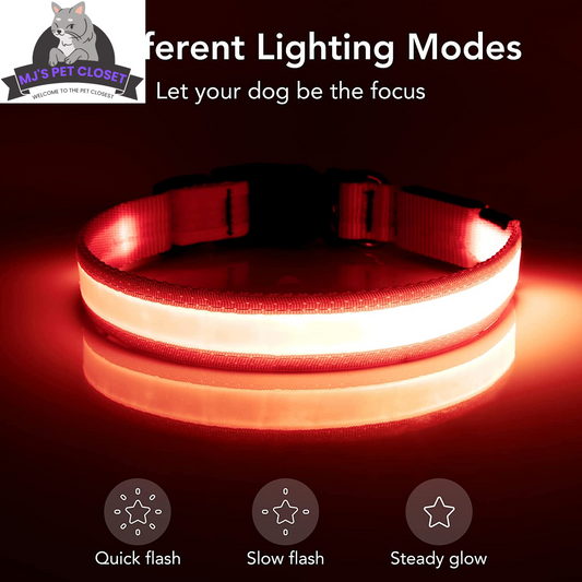 Brighten up your pup's night walks with our adjustable LED Dog Collar! 🌟 USB rechargeable & super safe! 🐾❤️ 